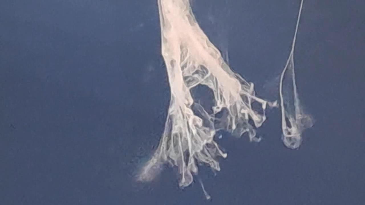 Electrospinning: Solutions of Polystyrene and Polyvinylidene Difluoride in Dimethylformamide